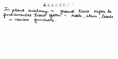 what-tissue-type-is-indicated-by-the-pointer-be-specific-wvhich-specific-meristem-forms-this-lissue-a-22367