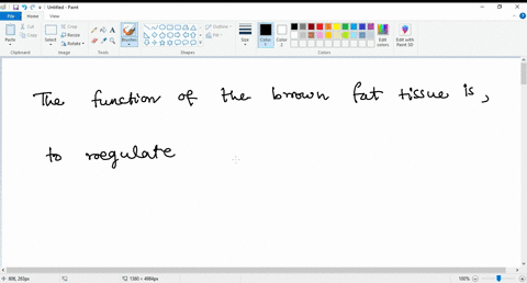 in-vertebrate-animals-brown-fat-tissues-color-is-due-to-abundant-blood-vessels-and-capillaries-white-fat-tissue-on-the-other-hand-is-specialized-for-fat-storage-and-contains-relatively-few-b-08407