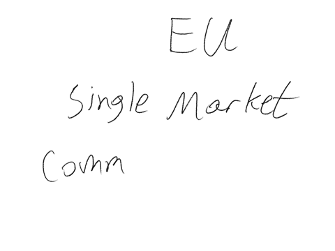 the-european-union-eu-is-an-economic-and-political-partnership-of-countries-what-are-the-practical-implications-of-this-union