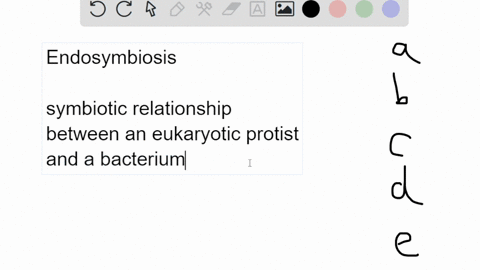 are-eukaryotic-organelles-that-definitely-arose-from-endosymbiosis-mitochondria-and-chloroplast-nucleolus-and-centriole-mitochondria-and-flagella-rough-er-and-smooth-er-chloroplast-and-golgi-49264