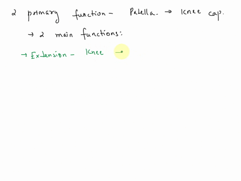 the-patella-is-the-largest-sesamoid-bone-in-the-human-body-what-are-two-primary-functions-of-the-patella-70958
