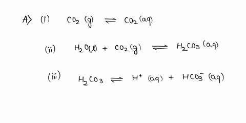 in-the-system-in-the-case-of-soft-drink-carbonated-beverages-what-are-the-three-equilibria-associated-with-the-release-of-co2-ways-that-more-co2-can-be-forced-out-ways-to-slow-down-the-rate-63696