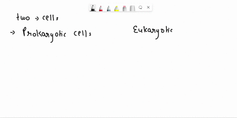 which-type-of-cell-has-membrane-bound-organelles-77194