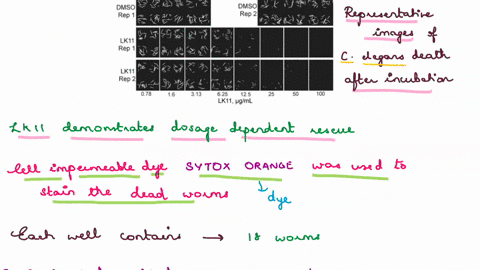 caenorhabditis-elegans-aeruginosa-assay-the-liquid-killing-assay-was-performed-essentially-as-described-anderson-et-al__-2018-in-brief-glp-4bnets-worms-were-synchronized-by-bleaching-gravid-48465