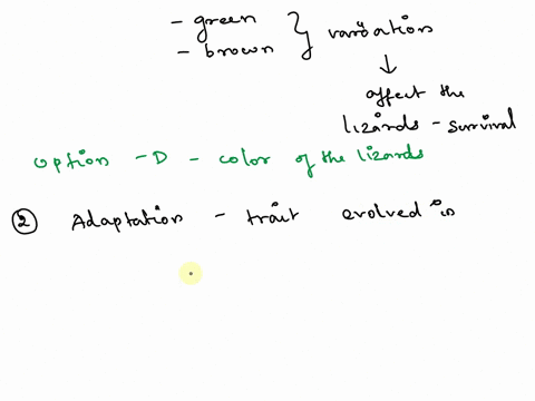 ndie0-45-dcoetomag-natural-selection-assessment-dueson-puit-populatlon-of-lizards-live-on-an-island-some-lizards-are-green-und-some-af2-brown-equenty-eaten-by-predatory-lxrds-bra-nn-wards-2t-34453