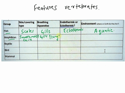 complete-the-table-below-of-the-selected-featurcs-of-vertebrates-iskin-coverlng-breathlng-endothermic-or-group-environment-gnctc-garthdothea-mneli-type-apparatus-ectothermic-fish-amphibian-r-37402