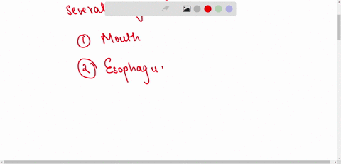 science-answer-in-detail-1-explain-digestive-system-06165