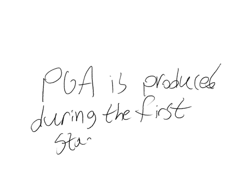 during-which-stage-of-the-calvin-cycle-is-pga-produced-a-stage-i-b-reduction-c-carbon-fixation-d-stage-ii-e-regeneration-of-rubp