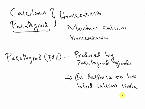 what-is-one-way-that-calcitonin-and-parathyroid-hormone-maintain-homeostasis-a-calcitonin-stimulates-the-kidneys-to-excrete-calcium-when-calcium-levels-are-too-high-while-parathyroid-hormone-69678