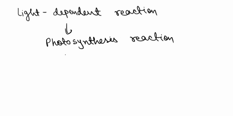 where-do-the-hydrogen-ions-for-the-photosystems-of-the-light-dependent-reactions-come-from-22379