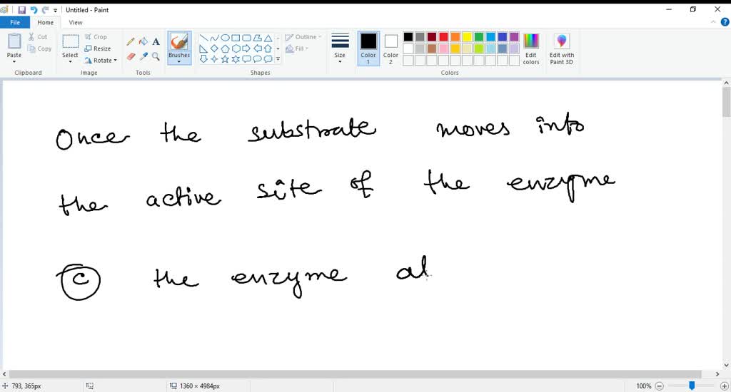 SOLVED Enzymes and substrate fit together at the active site to form a