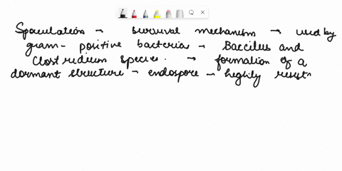 sporulation-is-a-process-by-which-a-jendospore-formers-can-reproduce-and-increase-their-population-size-b-a-subset-of-gram-positive-species-can-survive-harsh-environmental-conditions-an-iner-93476