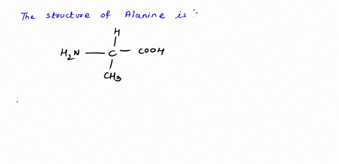 what-is-the-net-charge-on-alanine-in-basic-solution-at-a-ph-above-its-isoelectric-point-what-is-the-net-charge-on-alanine-in-acidic-solution-at-a-ph-below-its-isoelectric-point-explain-why-05199