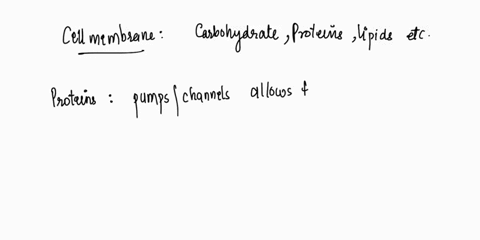 what-is-the-function-of-proteins-and-carbohydrates-that-are-embedded-in-a-cell-membrane-64608