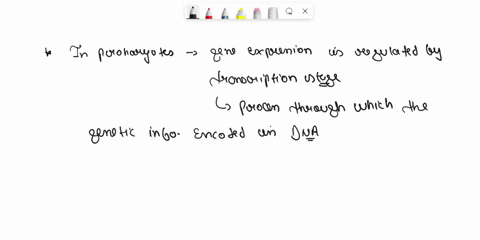 help-urgent-gene-expression-in-prokaryotes-is-regulated-at-which-stage-a-translation-b-transcription-c-post-transcriptional-modification-21297