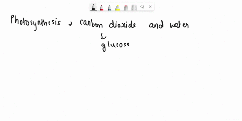 which-of-the-following-are-formed-during-photosynthesis-a-c2h4o2and-o2-bc2h4o2-and-h2o-c-c6h12o6-and-o2-dc6h12o6-and-h2o-80218