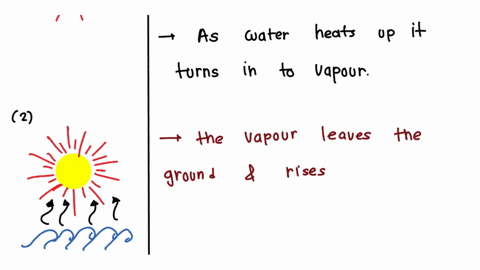 describe-how-water-goes-through-the-hydrolic-cycle-starting-and-ending-with-ocean-water-describe-the-two-main-factors-that-influence-the-path-of-ocean-currentsplease-put-a-written-answer-if-56336