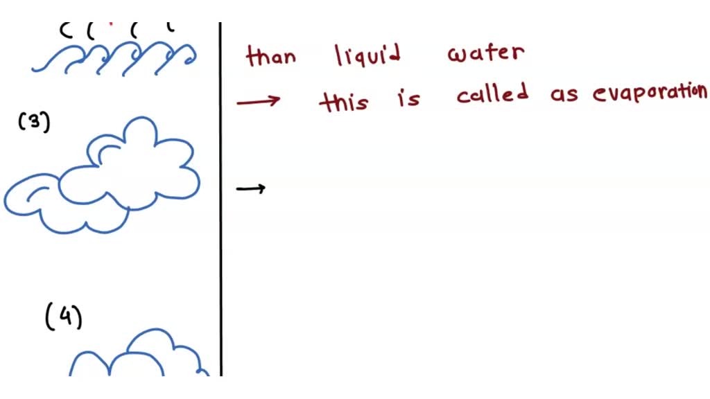 SOLVED Describe how water goes through the hydrolic cycle, starting