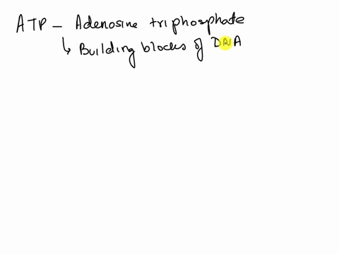 what-type-of-biological-molecules-is-atp-nucleic-acid-carbohydrate-protein-lipid-14376