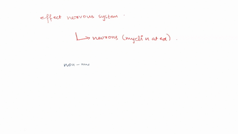 what-would-happen-to-the-nervous-system-functions-if-all-neurons-were-myelinated-26524