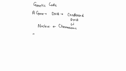 which-best-describes-the-storage-of-the-genetic-code-a-gene-is-a-segment-of-dna-a-condensed-dna-molecule-makes-up-a-chromosome-a-chromosome-is-inside-a-nucleus-and-a-nucleus-is-contained-wit-50036