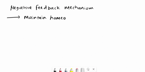why-is-negative-feedback-preferred-over-positive-feedback-to-maintain-homeostasis-42381