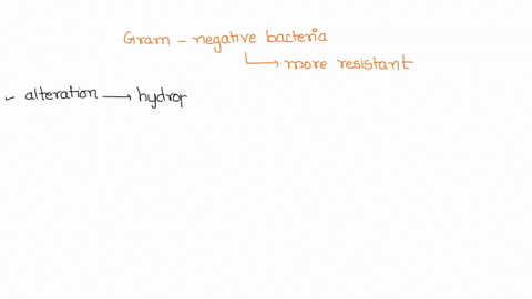 why-are-certain-gram-negative-bacteria-more-resistant-than-gram-positive-bacteria-to-antimicrobials-that-attack-cytoplasmic-targets-82728