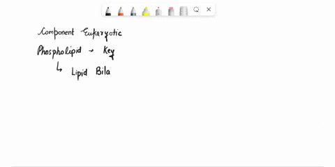 1which-of-the-following-are-components-of-the-eukaryotic-cell-membrane-aphospholipids-bcarbohydrates-cglycolipids-dcholesterol-eall-of-the-above-2which-of-the-following-type-of-transport-can-82243