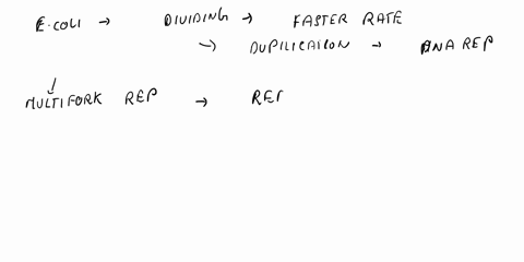 the-size-of-the-e-coli-genome-is-about-47-x-106-bp-if-the-e-coli-chromosome-completes-one-round-of-replication-in-60-minutes-about-how-fast-is-the-dna-unwinding-at-a-replication-fork-in-term-98755