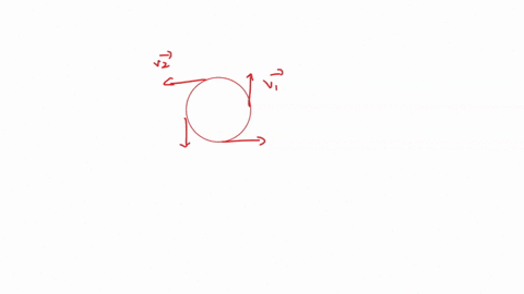 any-object-moving-in-a-circle-undergoes-centripetal-acceleration-which-no-changes-occur-in-the-direction-or-magnitude-of-the-velocity-vector-true-false-20124