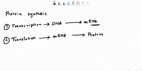 the-genetic-code-is-degenerate-because-a-mrna-is-rapidly-degraded-unless-it-folds-properly-b-more-than-1-codon-specifies-1-amino-acid-c-the-complementary-code-is-redundant-anticodons-sequenc-60584