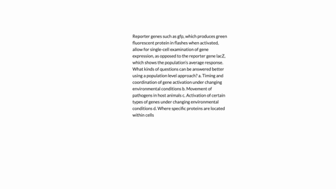 reporter-genes-such-as-gfp-which-produces-green-fluorescent-protein-in-flashes-when-activated-allow-for-single-cell-examination-of-gene-expression-as-opposed-to-the-reporter-gene-lacz-which-43241