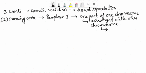what-three-events-during-sexual-reproduction-are-significant-in-contributing-to-genetic-diversity-briefly-describe-how-for-each-10512