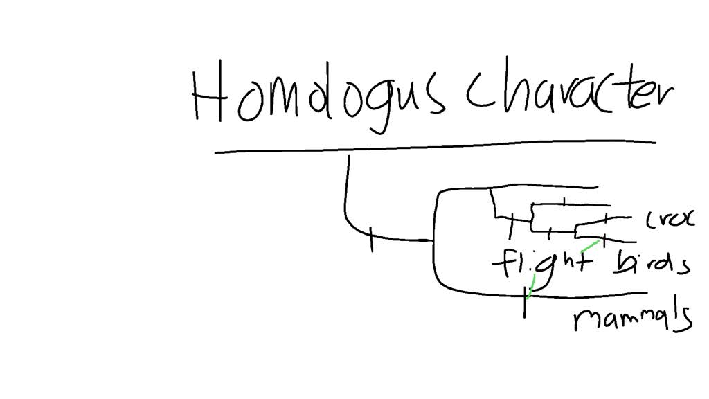 SOLVED: Question 11 Homework Unanswered Flight evolved two times among