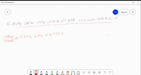 question-31-consider-the-following-piece-of-messenger-rna-5-aug-gag-ucg-uua-auu-aaa-ccg-gug-uaa-auc-3-draw-both-strands-of-the-segment-of-dna-that-this-mrna-was-transcribed-from-indicate-the-11482