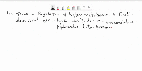 amutant-e-coli-strain-is-found-that-synthesizes-galactosidase-and-permease-but-no-b-galactoside-transecetyiase-in-the-presence-of-lactose-or-allolactose-what-mnutations-can-lead-t0-this-outc-61443