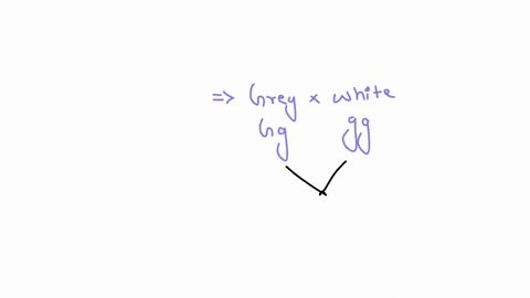 2-in-peas-the-gray-seed-color-is-dominant-to-white-in-the-following-experiments-parents-with-known-phenotypes-but-unknown-genotypes-produced-the-listed-progeny-begintabularlcc-multicolumn1c-parents-mu
