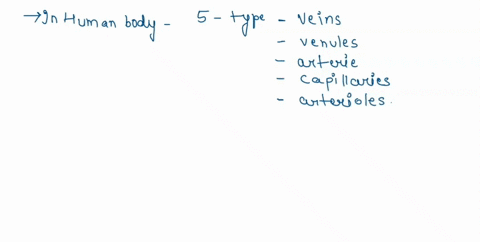 briefly-explain-which-type-of-blood-vessels-contain-valves-what-is-their-function-why-are-they-needed-please-note-there-are-3-elements-asked-in-this-question-06117
