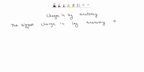 what-is-the-biggest-change-in-leg-anatomy-that-occurred-from-the-dawn-horse-to-the-modern-horse-37988