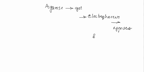 1what-is-agarose-2-what-is-the-function-of-buffers-in-gel-electrophoresis-3-what-is-the-charges-of-dna-and-rna-4-which-direction-dna-and-rna-move-during-electrophoresis-5-which-direction-pro-80574