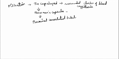 10-what-is-the-correct-sequence-of-structures-through-which-the-filtrate-would-pass-1-bowmans-capsule-2-collecting-duct-3-distal-convoluted-tubule-4-proximal-convoluted-tubule-5-ascending-lo-92396