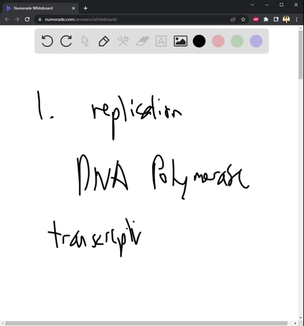 SOLVED:DNA is copied in the process replication Synthesis of DNA