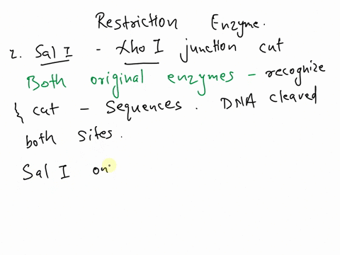 aval-c-pycgpug-py-stands-for-pyrimidine-pu-for-purine-sal-i-gtcgac-taql-tacga-xhol-catcgag-above-is-a-list-of-restriction-enzymes-and-their-recognition-sequences-indicates-where-each-enzyme-51917