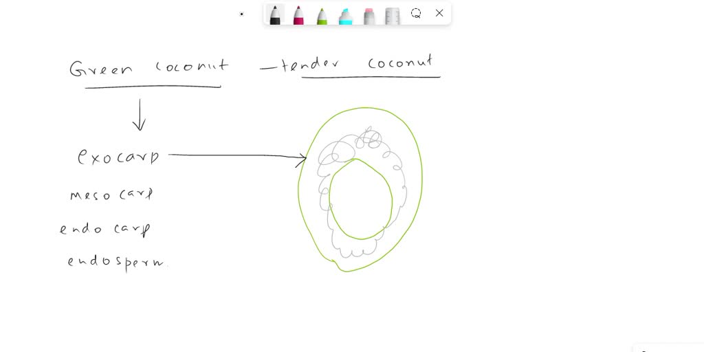 SOLVED: Milky water of green coconut is A Liquid chalaza B Liquid SOLVED: Milky water of green coconut is A Liquid chalaza B Liquid
