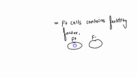 in-the-process-of-conjugation-there-is-an-f-donor-cell-mating-with-an-f-recipient-cell-if-the-mating-is-successful-what-is-transferred-to-the-recipient-cell-what-would-we-now-call-the-recipient-cell-f