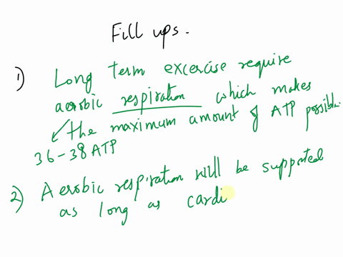 place-a-single-word-or-phrase-into-each-sentence-then-place-each-sentence-into-a-logical-paragraph-order-to-describe-the-modes-of-atp-synthesis-during-exercise-drag-the-text-blocks-below-int-47179