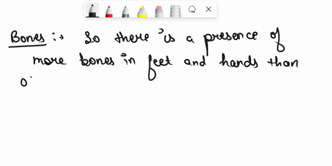 1-what-might-be-the-reason-behind-the-presence-of-more-bones-in-the-hands-and-feet-compared-to-other-part-of-the-body-45362