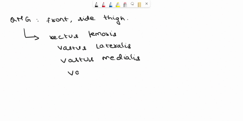 which-muscle-is-not-part-of-the-quadriceps-group-a-rectus-femoris-b-vastus-medialis-c-vastus-lateralis-d-semimembranosus-27421
