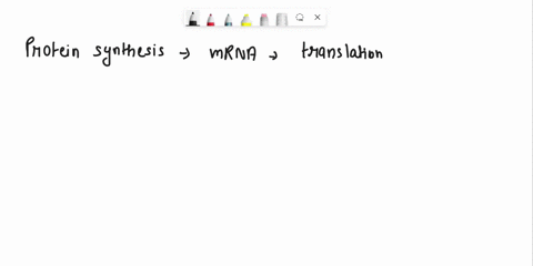 question-22-protein-synthesis-from-mrna-is-called-translation-and-takes-place-in-mitochondria-ribosome-golgi-apparatus-lysosome-03612