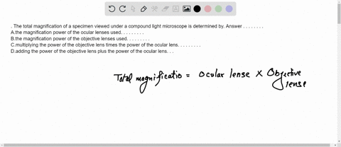 the-total-magnification-of-a-specimen-viewed-under-a-compound-light-microscope-is-determined-by-answer-athe-magnification-power-of-the-ocular-lenses-used-bthe-magnification-power-of-the-obje-16983